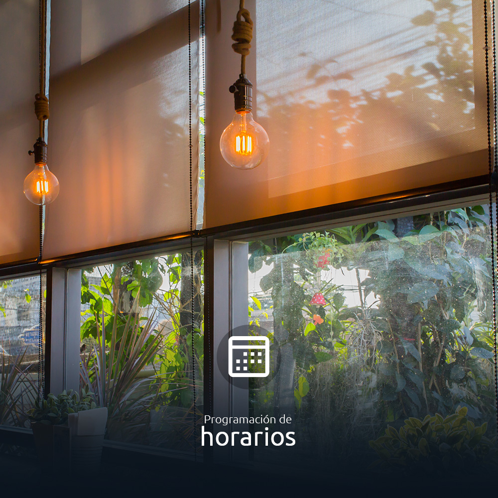 Imagen adicional